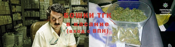 прущие грибы Абинск