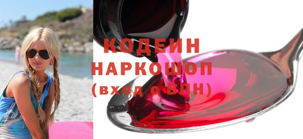 прущие грибы Абинск