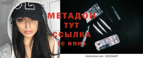 прущие грибы Абинск