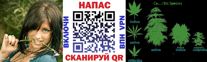что такое   мориарти формула  Каннабис MAZAR  Яблоновский 